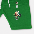 Boys 14 August Independence Day Jersey T-Shirt & Shorts Set – Green Pakistan Print Outfit – Size 1-4 Years
